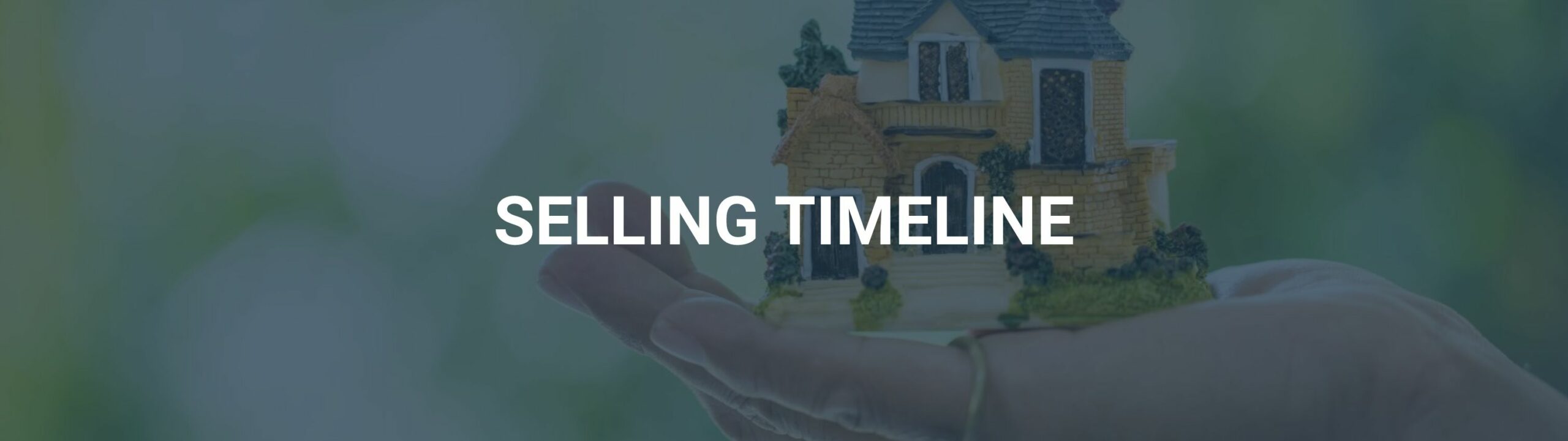 Selling Timeline